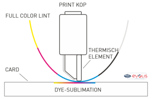 Evolis kaartprinter direct-to-card dye sublimation printprincipe