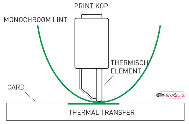 Evolis kaartprinter direct-to-card monochroom thermal transfer printprincipe