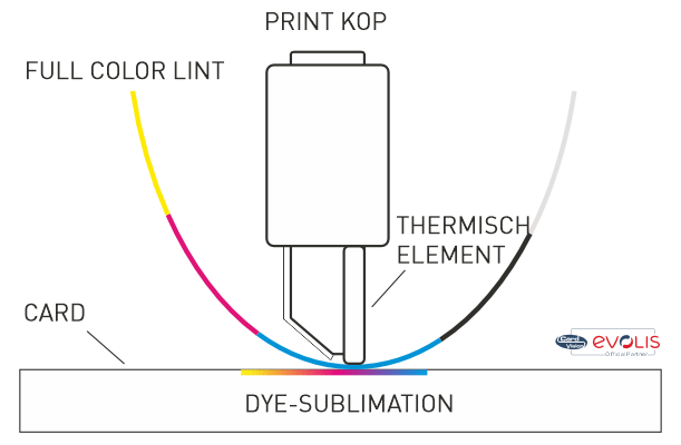 Evolis kaartprinter direct-to-card dye sublimation printprincipe